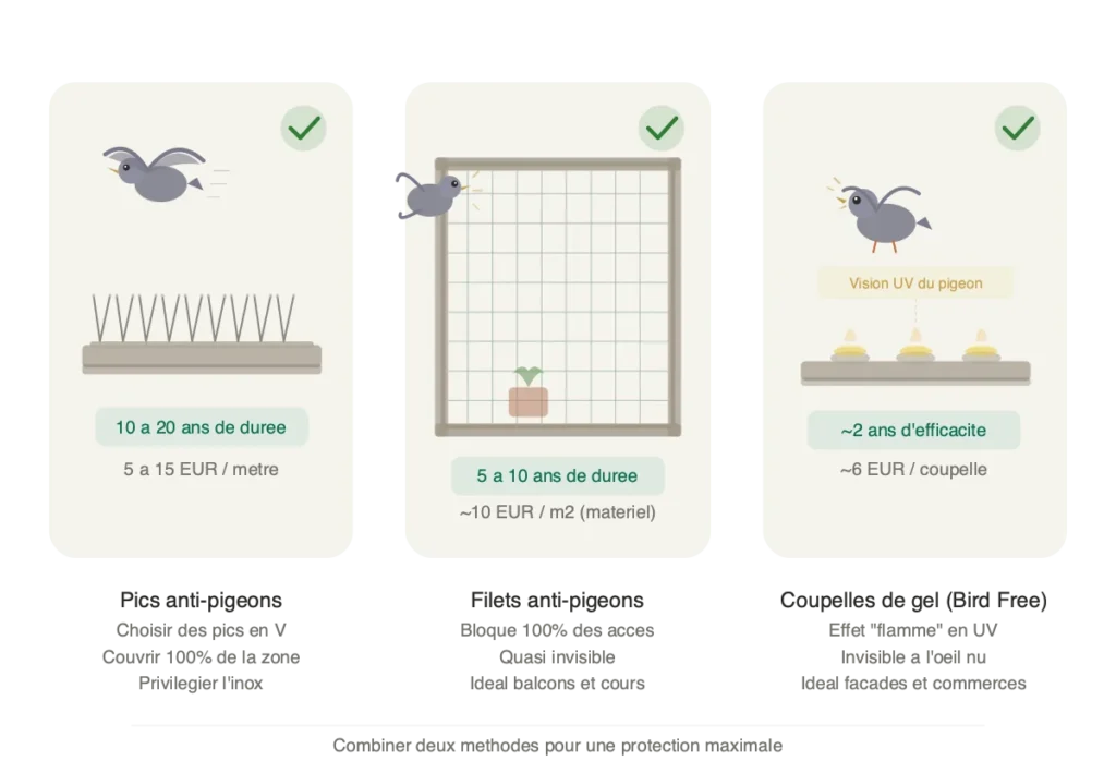 solutions anti pigeon qui fonctionnent