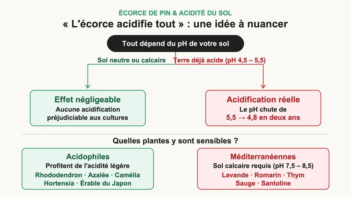 Schéma illustrant l'impact du pH sur les sols et les plantes sensibles