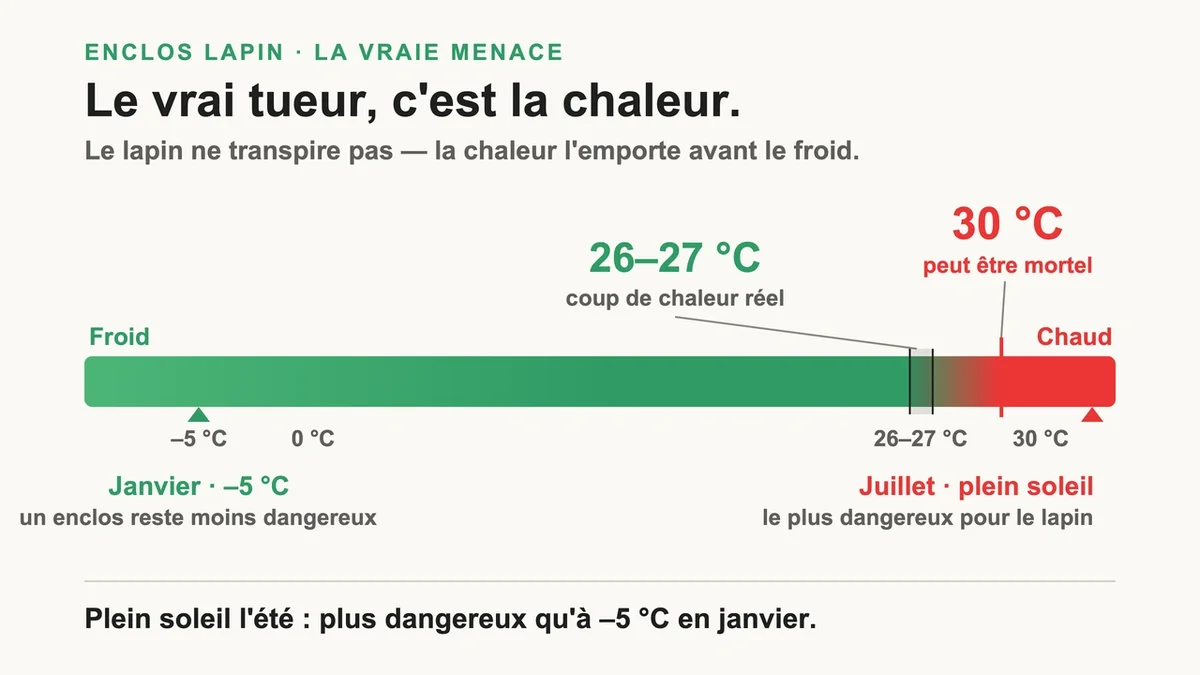 Lapin dans un enclos ombragé pour éviter le coup de chaleur en été